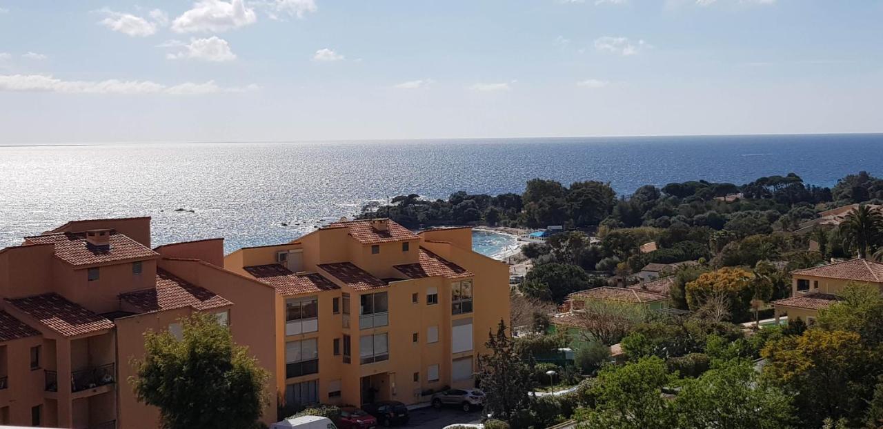 T1 Vue Mer Bord De Mer Ajaccio Apartment Ajaccio  Exterior foto